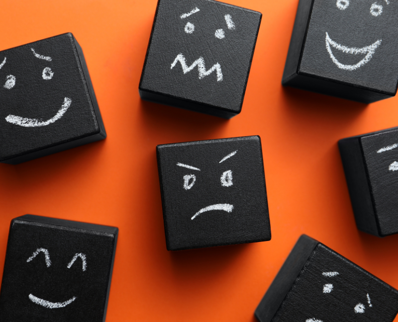 Formation Entreprise - Intelligence Emotionnelle - Utiliser à bon escient les émotions